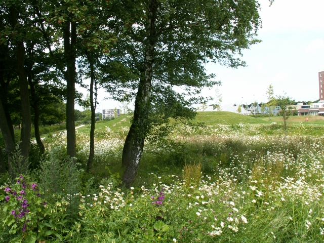 Referentiefoto natuurgebieden