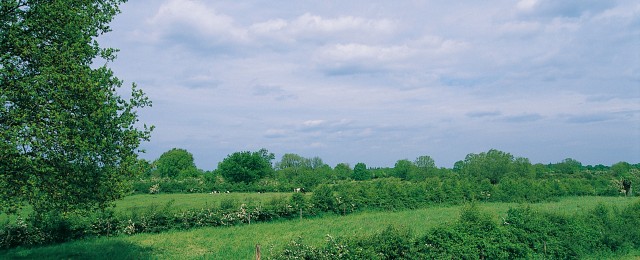 Referentiefoto Oude ontginningsgebieden