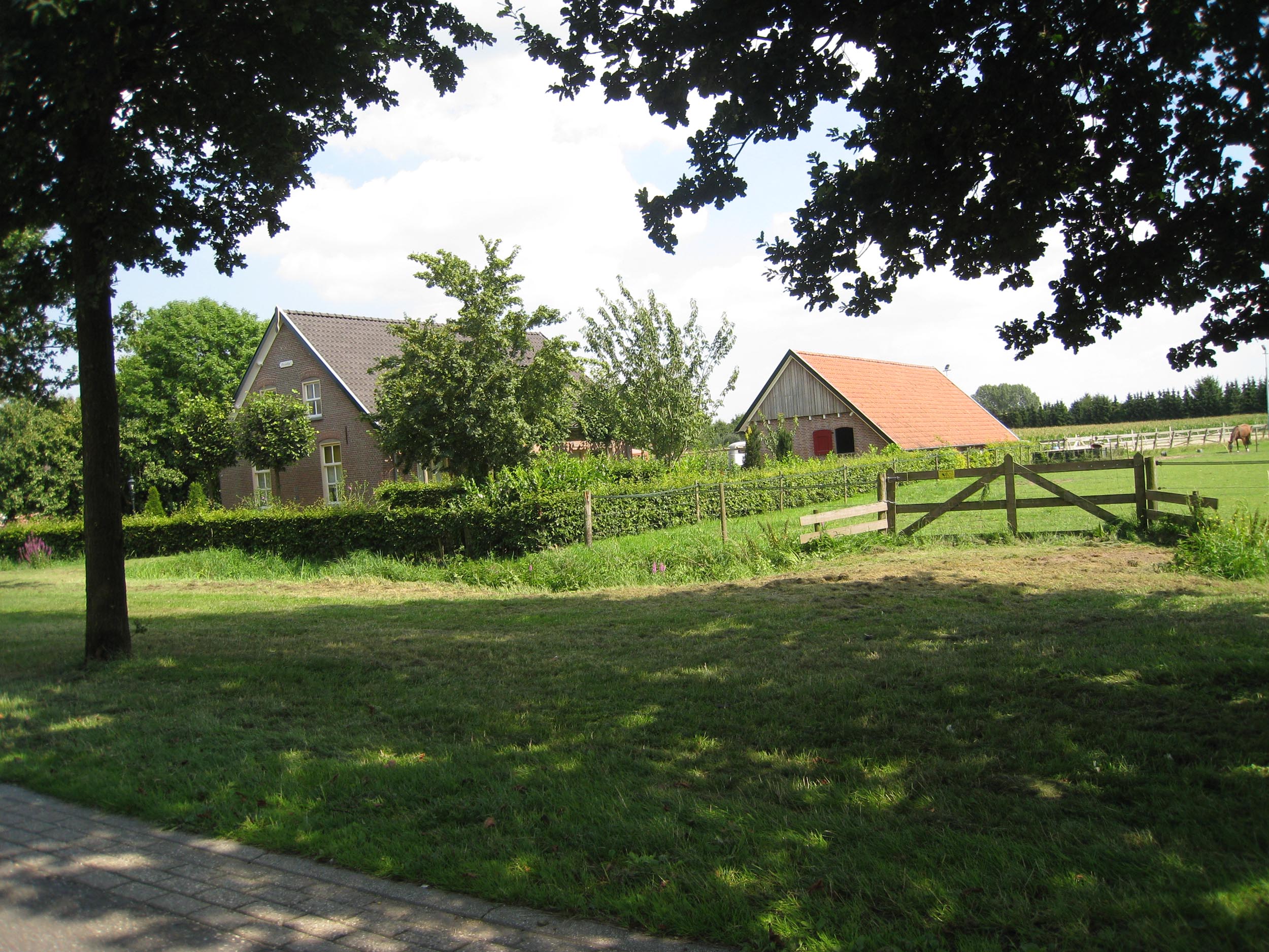 Referentiefoto Oude ontginningsgebieden
