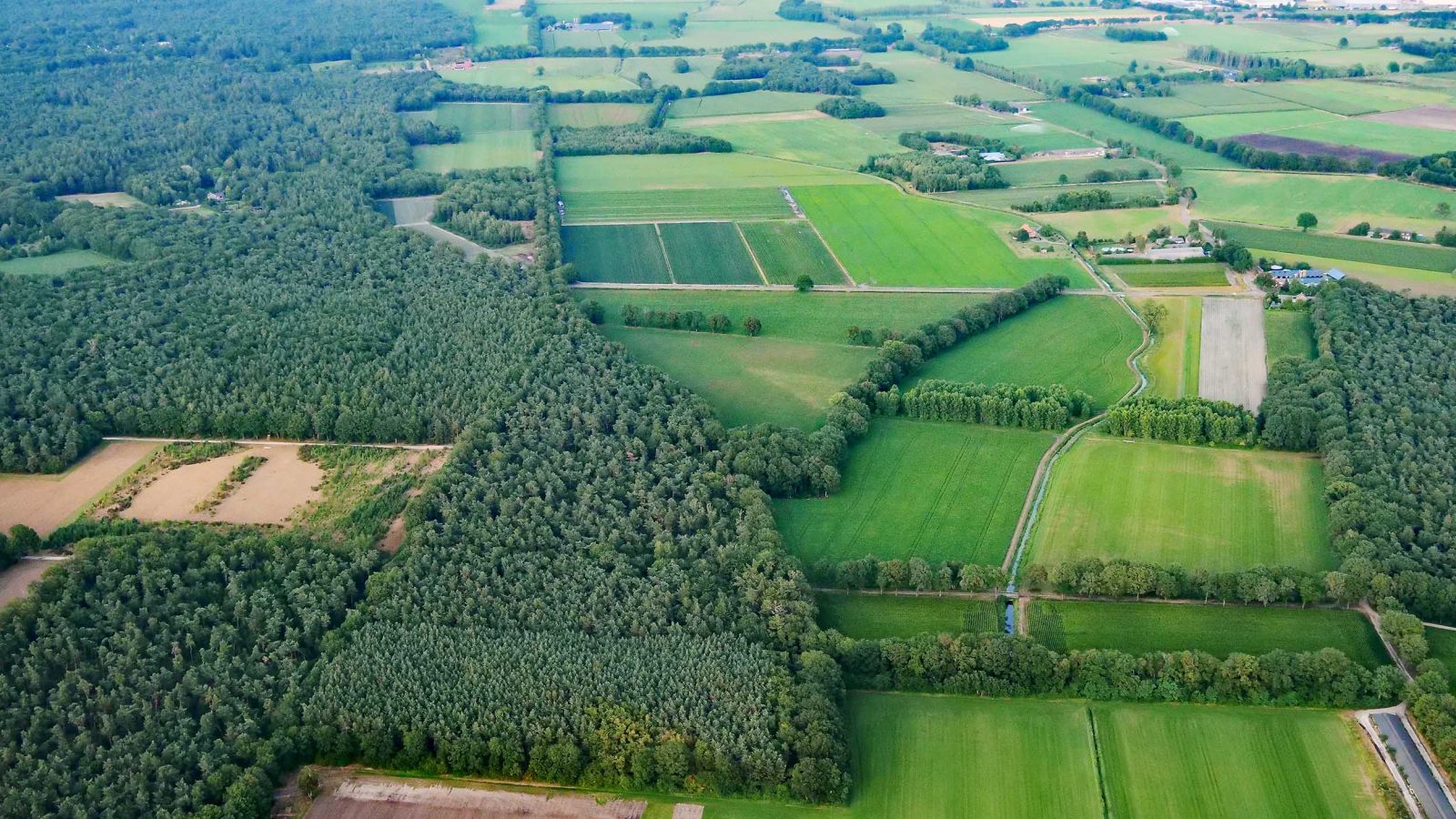 Foto van een natuurgebied