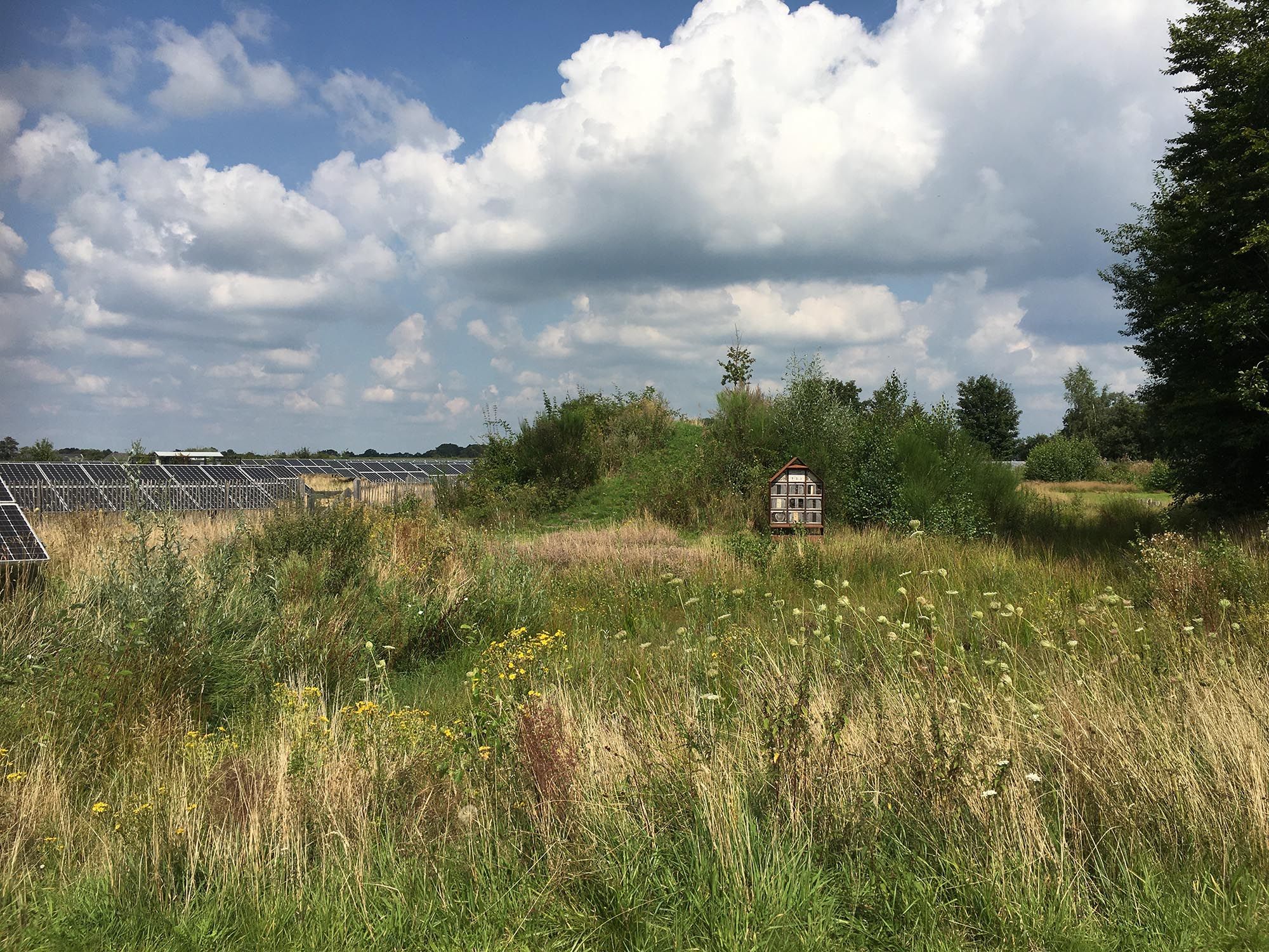 Inpassing zonneveld