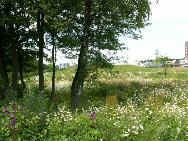 Referentiefoto natuurgebieden