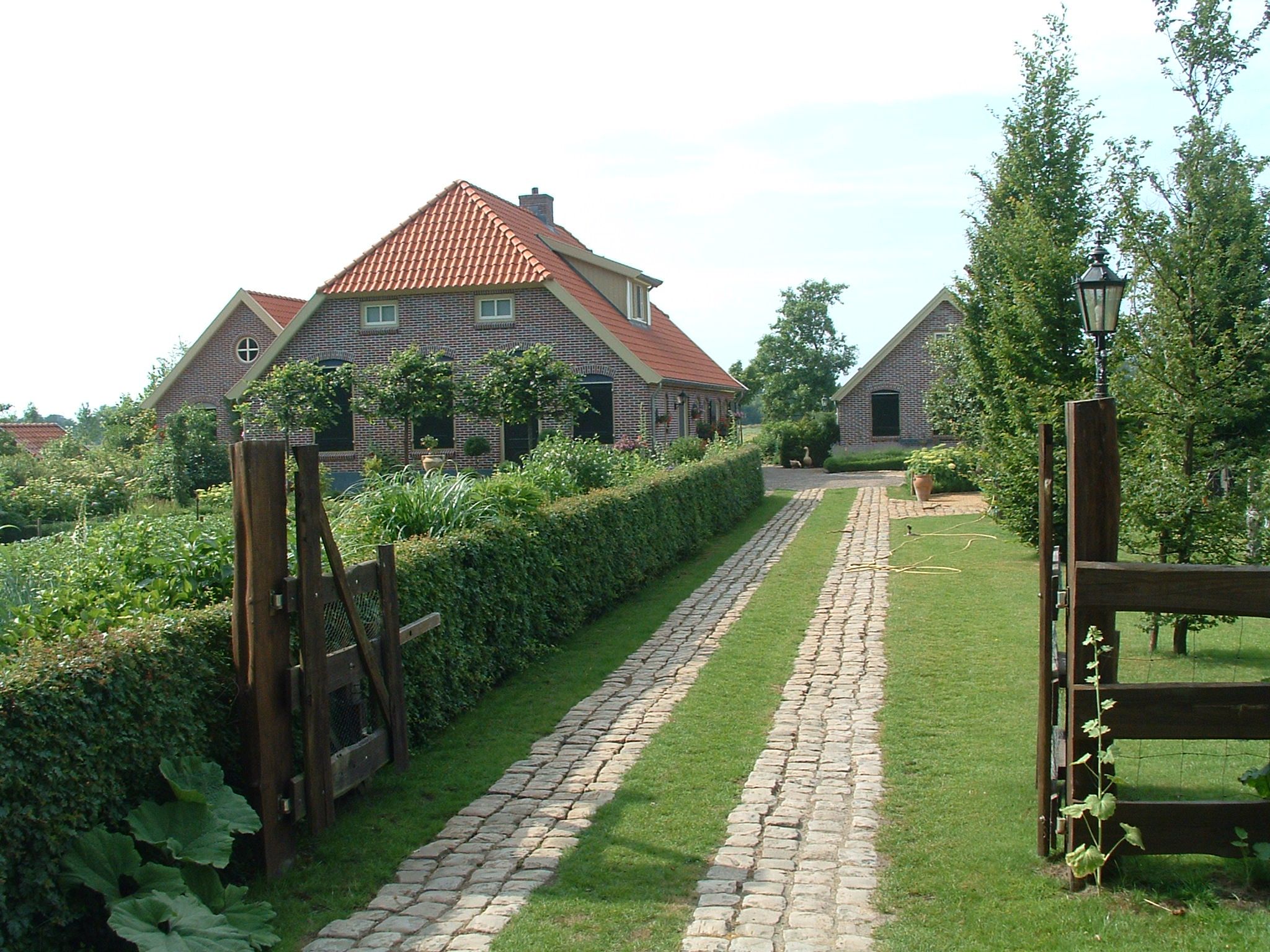 Referentiefoto Oude ontginningsgebieden