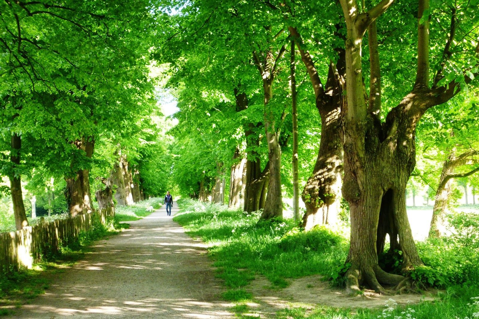 Referentiefoto natuurgebieden