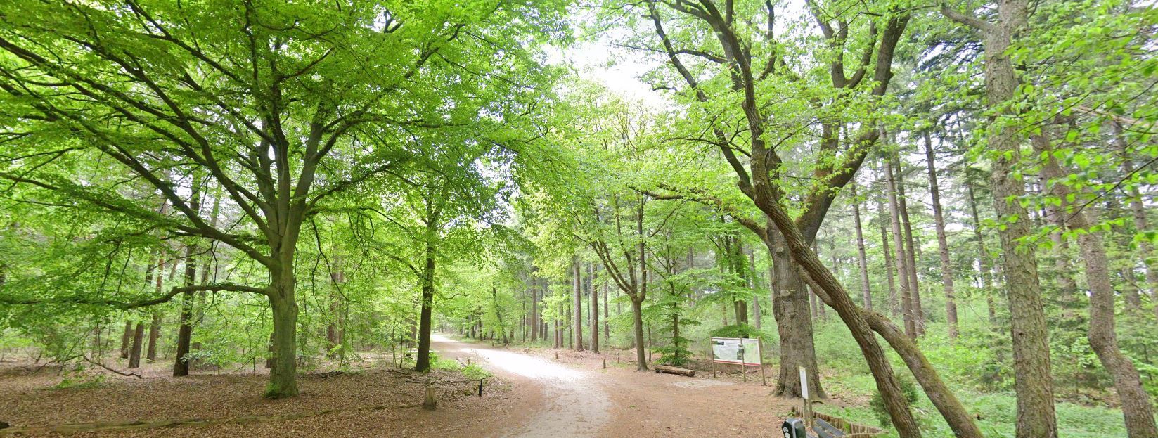 Referentiefoto natuurgebieden